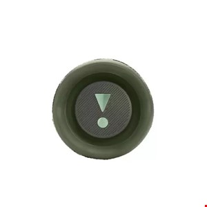   اسپیکر JBL Flip 6 رنگ چریکی